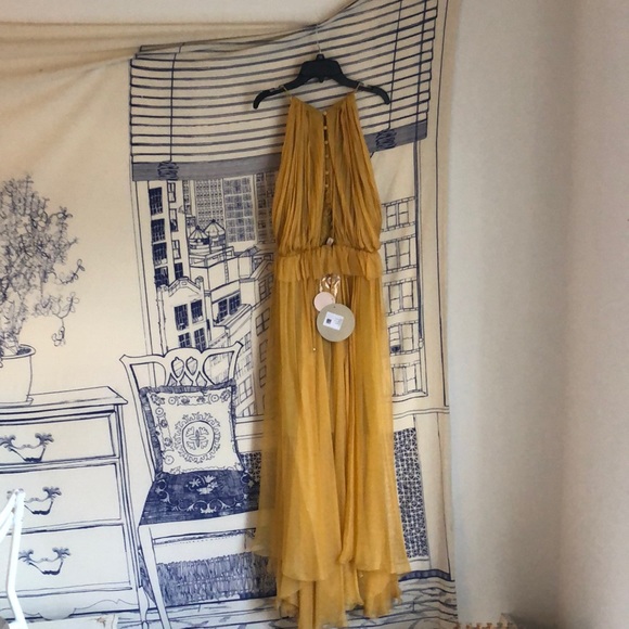 Maria Lucia Hohan Marigold Kamille silk dress - Picture 5 of 7